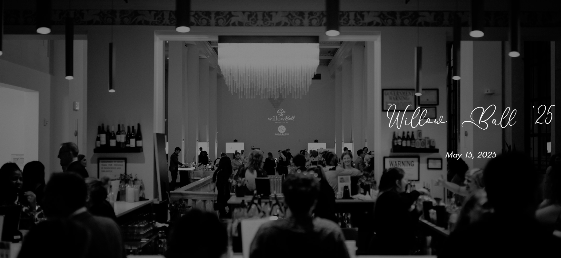 2025 Willow Ball